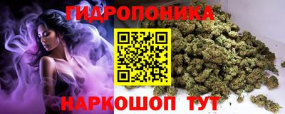 спиды Новокубанск