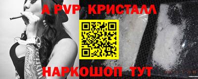 спиды Новокубанск