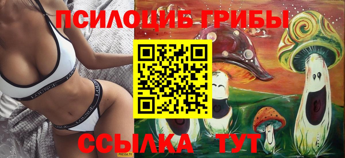 Галлюциногенные грибы Cubensis Новый Уренгой