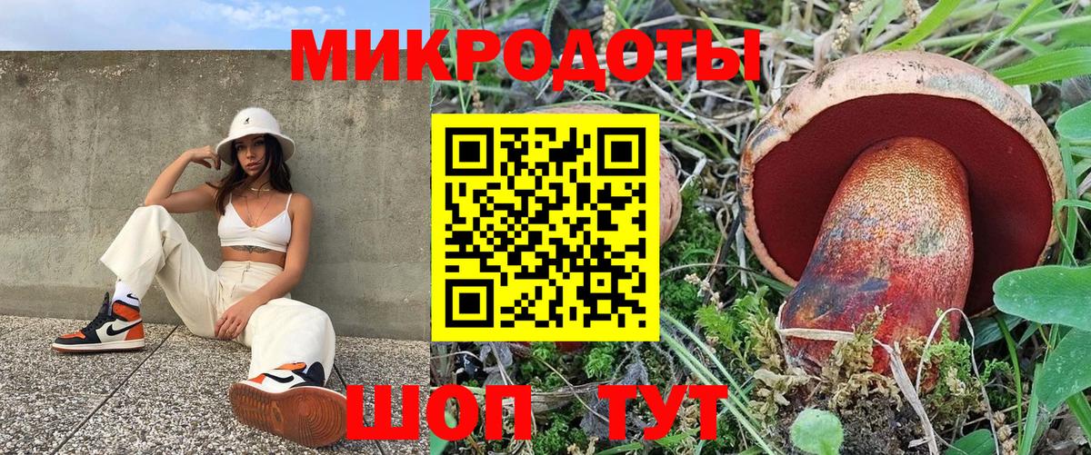 Галлюциногенные грибы Cubensis  Вход с VPN  Галлюциногенные грибы мицелий  Новый Уренгой 